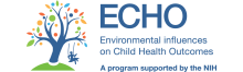 NYU Echo Logo